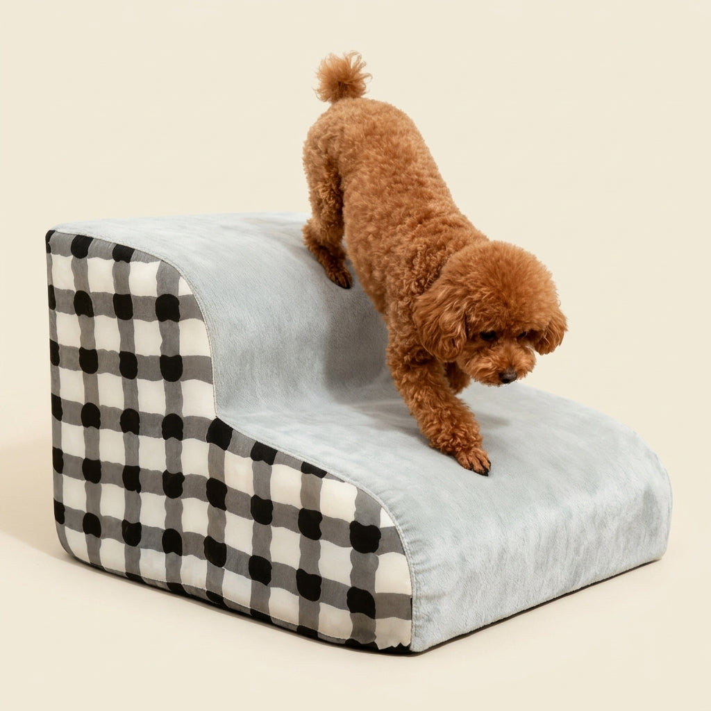 Petit chien descendant un escalier pour chien 2 marches