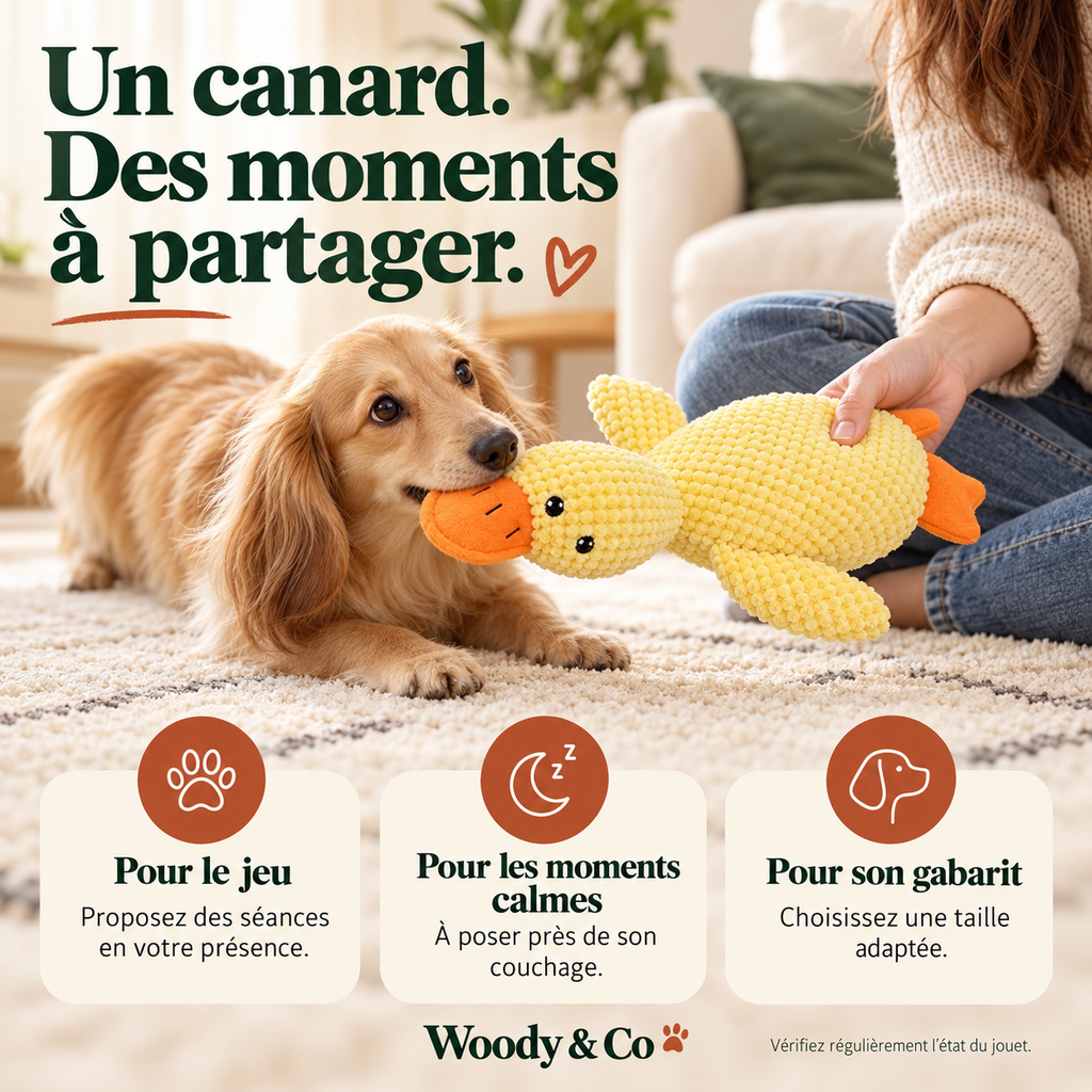 Canard en peluche pour chien