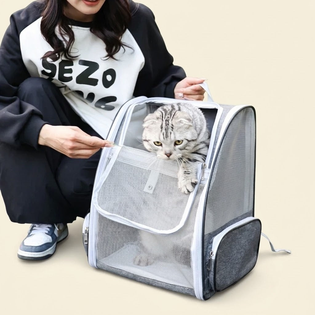 Chat installé dans le sac à dos gris, vu à travers le filet