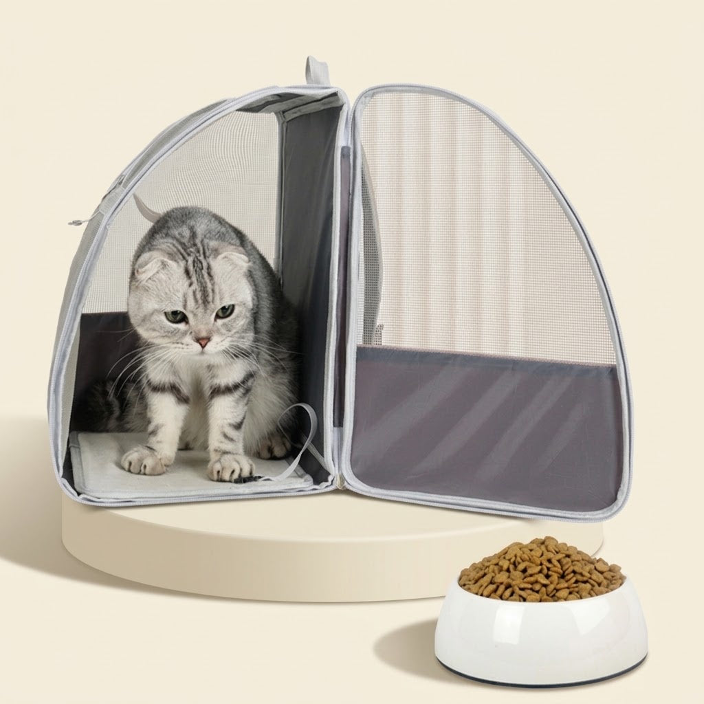 Sac à dos ouvert sur le côté avec un chat à l'intérieur