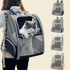 Chat sortant la tête du sac à dos porté sur le dos
