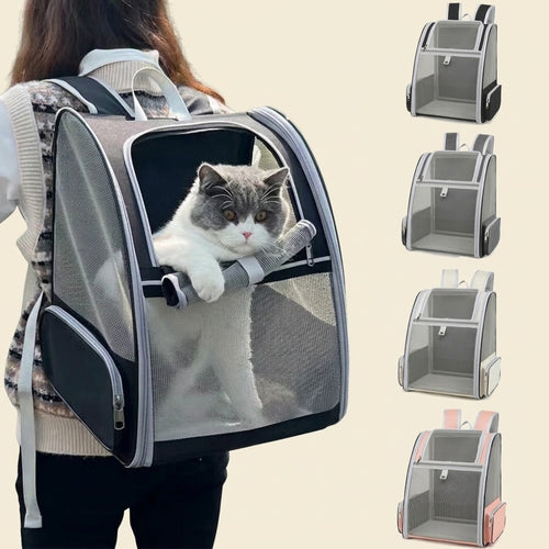 Chat sortant la tête du sac à dos porté sur le dos