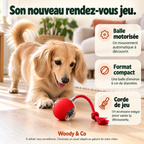 Chien qui joue avec la balle motorisée rouge sur un parquet — mise en scène générée par IA