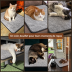 Tapis auto-chauffant gris — scenes chats — visuel généré par IA