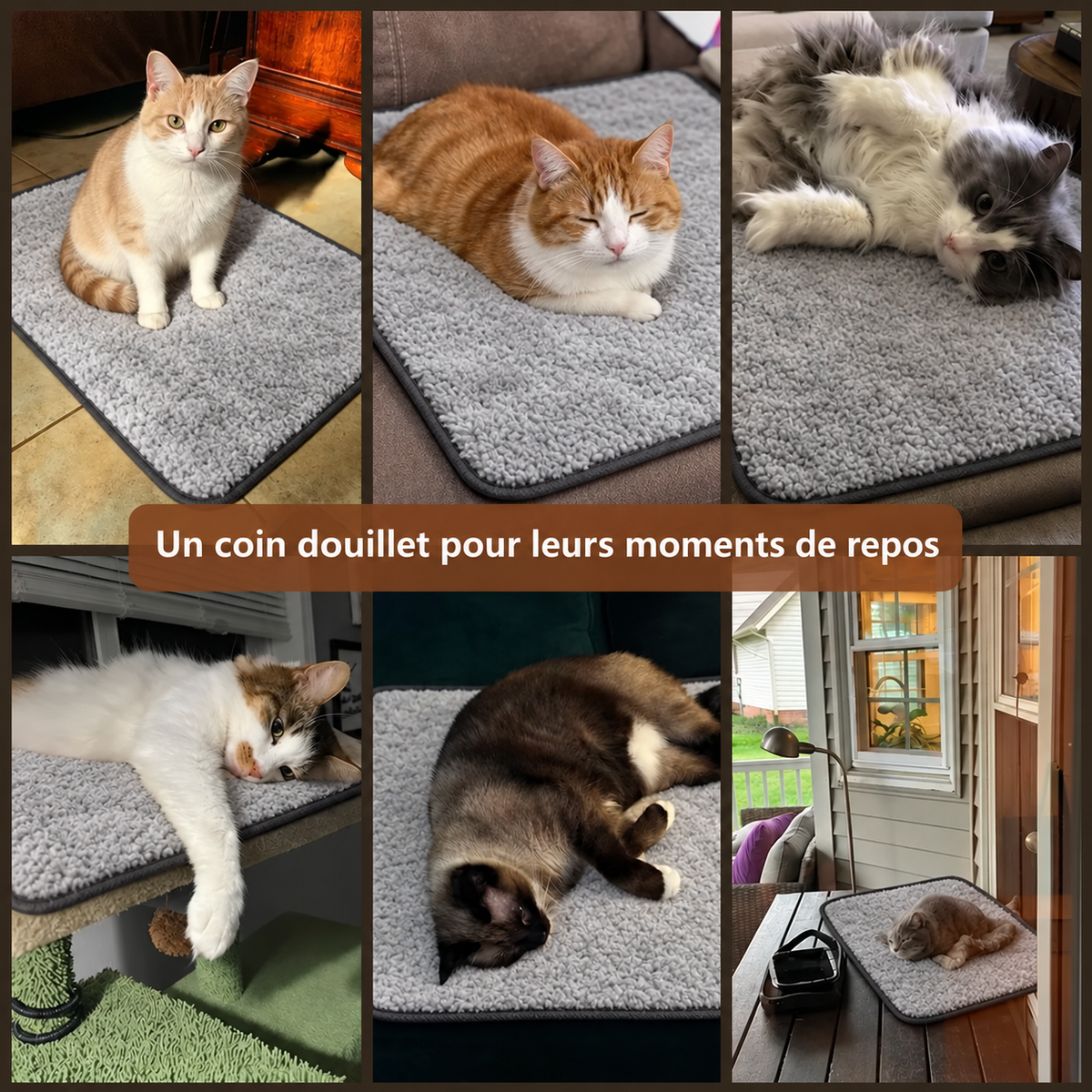 Tapis auto-chauffant gris — scenes chats — visuel généré par IA